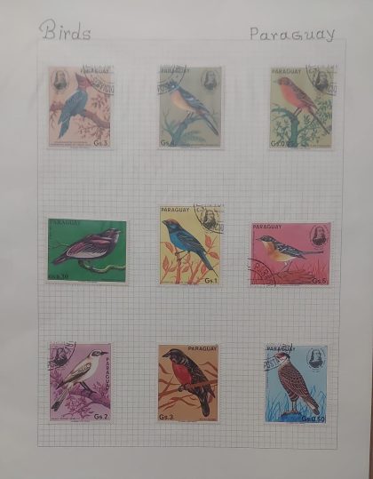 Thematic Birds Stamps of PARAGUAY  9 stamps 7 Used /2 Mint | Indian Postage Stamps | Indian Coins | Old Indian Currency | Rare Indian Coins | Numismatic Collection India