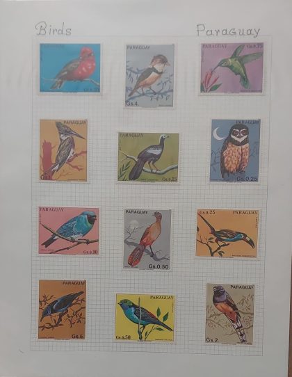 Thematic Birds Stamps of PARAGUAY  12 stamps Mints | Indian Postage Stamps | Indian Coins | Old Indian Currency | Rare Indian Coins | Numismatic Collection India