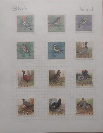Thematic Birds Stamps of POLAND 12 stamps 5 Used /7 Mint