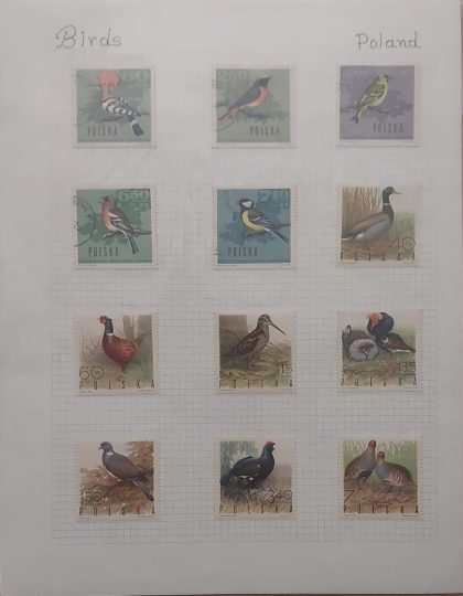 Thematic Birds Stamps of POLAND 12 stamps 5 Used /7 Mint | Indian Postage Stamps | Indian Coins | Old Indian Currency | Rare Indian Coins | Numismatic Collection India