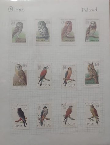 Thematic Birds Stamps of POLAND 12 stamps 6 Used /6 Mint