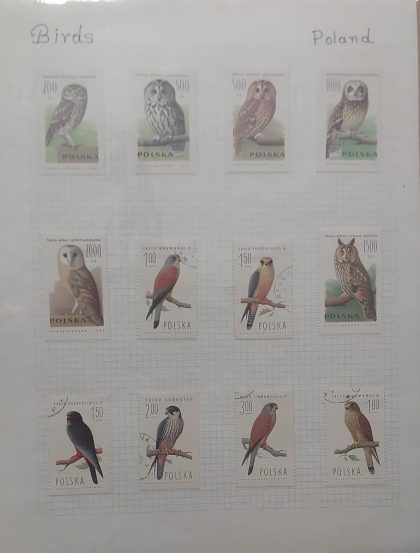 Thematic Birds Stamps of POLAND 12 stamps 6 Used /6 Mint | Indian Postage Stamps | Indian Coins | Old Indian Currency | Rare Indian Coins | Numismatic Collection India