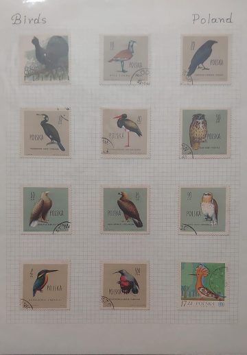 Thematic Birds Stamps of POLAND 12 stamps Used