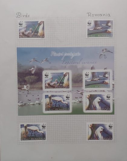 Thematic Birds Stamps of ROMANIA (WWF) 1 Minature sheet Mint/4  Stamps Mint | Indian Postage Stamps | Indian Coins | Old Indian Currency | Rare Indian Coins | Numismatic Collection India