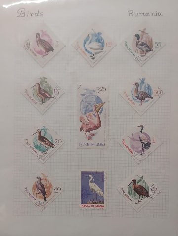 Thematic Birds Stamps of ROMANIA 11 Used Stamps