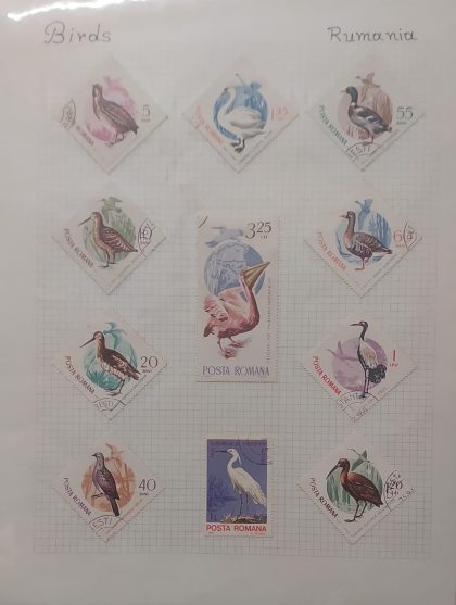 Thematic Birds Stamps of ROMANIA 11 Used Stamps | Indian Postage Stamps | Indian Coins | Old Indian Currency | Rare Indian Coins | Numismatic Collection India