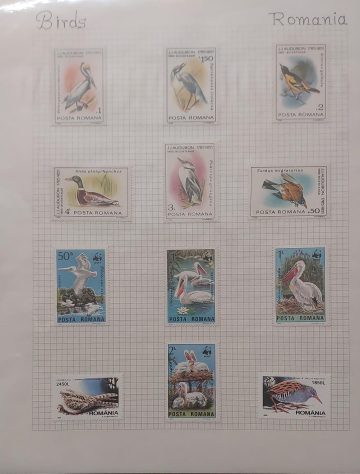 Thematic Birds Stamps of ROMANIA 12 Stamps Mint (WWF)