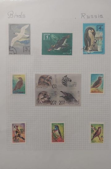 Thematic Birds Stamps of RUSSIA 12 Stamps 3 Used /9 Mint