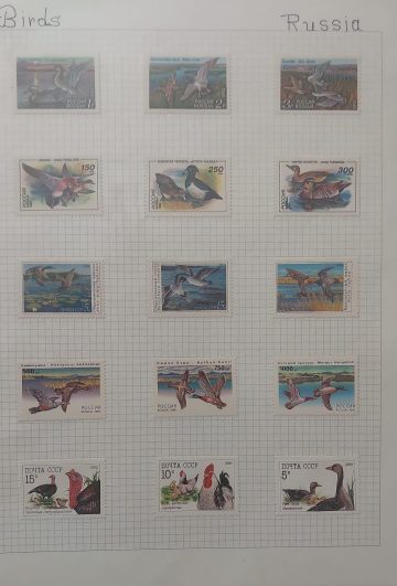 Thematic Birds Stamps of RUSSIA 15 Stamps Mint