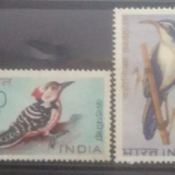 Indian Birds (Set of 4)