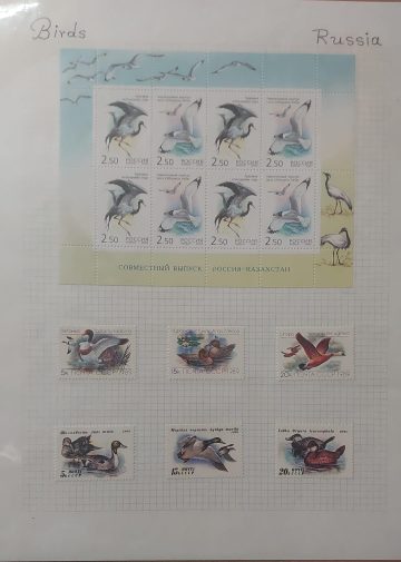Thematic Birds Stamps of RUSSIA 1 Minature sheet 6 Stamps Mint