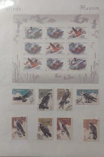 Thematic Birds Stamps of RUSSIA 1 Minature sheet- 8 Used Stamps Mint