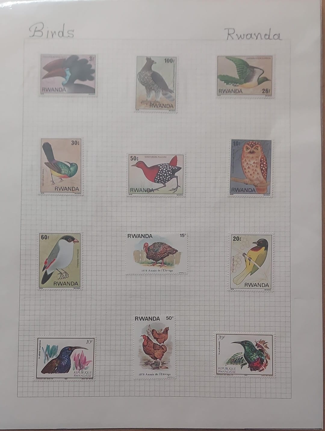 Thematic Birds Stamps of RWANDA 12 Stamps Mint