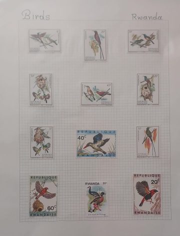 Thematic Birds Stamps of RWANDA 12 Stamps Mint