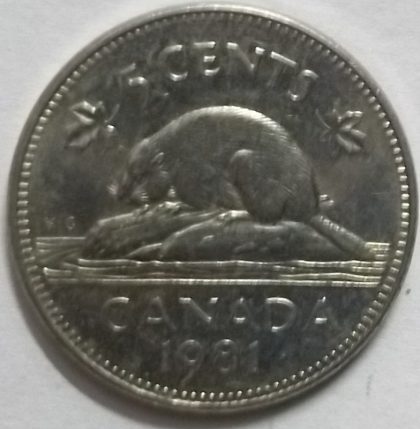 5 Cents Canada 1981 Elizabeth II D.G Regina  (used) | Indian Postage Stamps | Indian Coins | Old Indian Currency | Rare Indian Coins | Numismatic Collection India