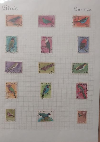 Thematic Birds Stamps of SURINAME 15  Stamps-13 Used/2 Mint | Indian Postage Stamps | Indian Coins | Old Indian Currency | Rare Indian Coins | Numismatic Collection India