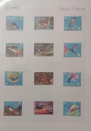 Thematic Birds Stamps of SAINT LUCIA 12 Stamps Mint (WWF)