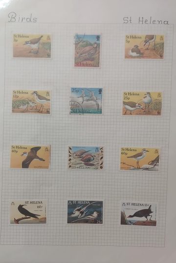 Thematic Birds Stamps of St.HELENA 12 Stamps 2 Used/10 Mint (WWF)