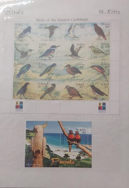 Thematic Birds Stamps of St.KITTS 2 Minature Sheets | Indian Postage Stamps | Indian Coins | Old Indian Currency | Rare Indian Coins | Numismatic Collection India
