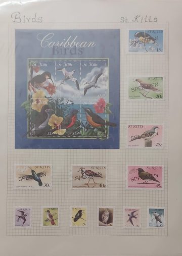 Thematic Birds Stamps of St.KITTS 1 Minature Sheet-12 Stamps Mint