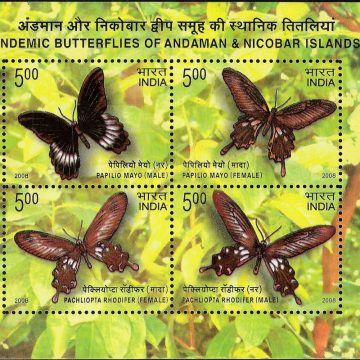 Endemic Butterflies of Andaman & Nicobar Islands - 2008 (Indian Miniature Sheets)