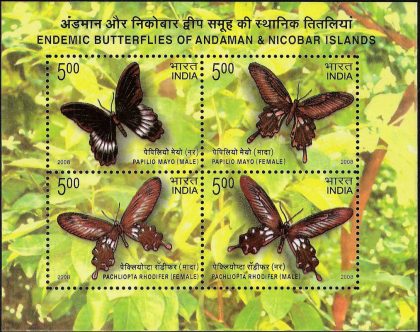 Endemic Butterflies of Andaman & Nicobar Islands - 2008 (Indian Miniature Sheets) | Indian Postage Stamps | Indian Coins | Old Indian Currency | Rare Indian Coins | Numismatic Collection India
