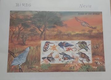 Thematic Birds Stamps of NEVIS 1 Minature sheet