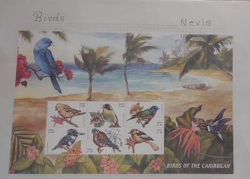 Thematic Birds Stamps of NEVIS 1 Minature sheet