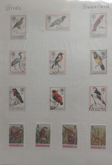 Thematic Birds Stamps of SWAZILAND 13 Stamps 8 Used /5  Mint