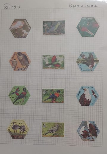 Thematic Birds Stamps of SWAZILAND 12 Stamps Mint