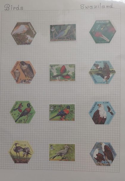 Thematic Birds Stamps of SWAZILAND 12 Stamps Mint | Indian Postage Stamps | Indian Coins | Old Indian Currency | Rare Indian Coins | Numismatic Collection India