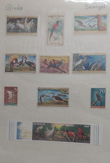 Thematic Birds Stamps of SENEGAL 10 Stamps 6 Used/4  Mint