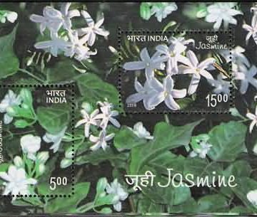 2008 India Miniature Sheet Jasmine - 2008 (Indian Miniature Sheets)