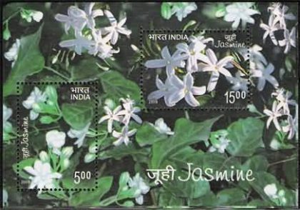2008 India Miniature Sheet Jasmine - 2008 (Indian Miniature Sheets) | Indian Postage Stamps | Indian Coins | Old Indian Currency | Rare Indian Coins | Numismatic Collection India