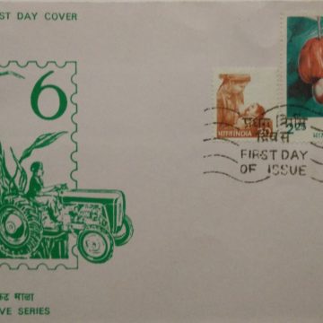 6th Series Child Health, Cashew, Apples-25-03-1981 (Definitive FDC)