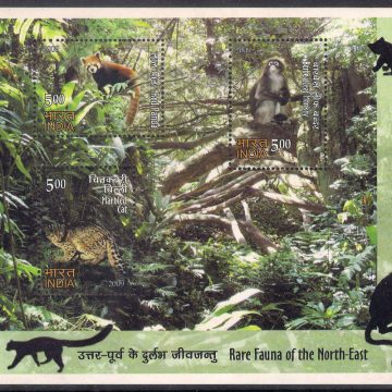 Rare Fauna of the North East - 2009 (Indian Miniature Sheets)