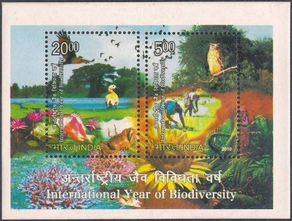 International Year of Biodiversity - 2010 (Indian Miniature Sheets) | Indian Postage Stamps | Indian Coins | Old Indian Currency | Rare Indian Coins | Numismatic Collection India