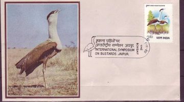 First Day Cover 01 Nov 1980 International Symposium On The Great Indian Bustards, Jaipur (Fdc-1980) (Spots/Hinged/Slightly Damaged/Paper Stuck)
