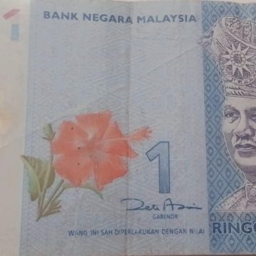 MALAYSIA Currency 1 Ringgit 2021 (Used)