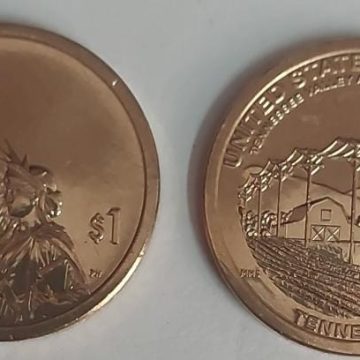 AmericanWomen 1  Dollar  Coin Tennesse Valley Authority - Tennesse