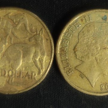 Australian 1 dollar coin 2008_1$ (used)