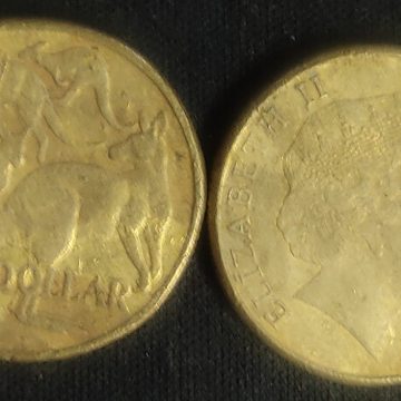 Australian 1 dollar coin 2013_1$ (used)