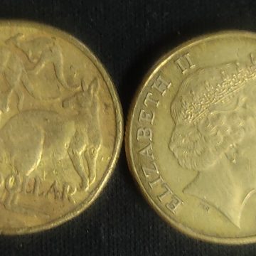 Australian 1 dollar coin 2019_1$ (used)