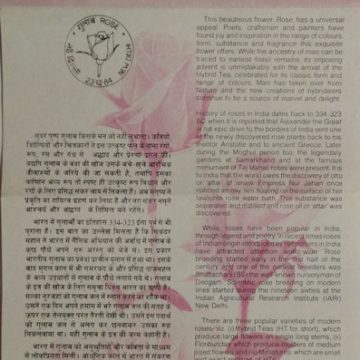 Sams Shopping Dr. Rajendra Prasad Birth Centenary. PersonalityPresident of IndiaFreedom FighterLawyerIndian National CongressFlagWritingDeskCapHeadgearCentenary  (BR)