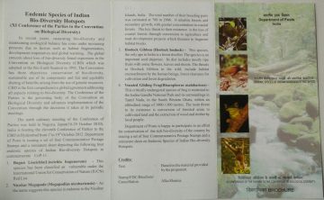 Endemic Species of Indian Bio Diversity Hot Spots Buguin Liocichla_ Nicobar Megapode_ Hoolock Gibbon _ Venated Gliding Frog  (BR)