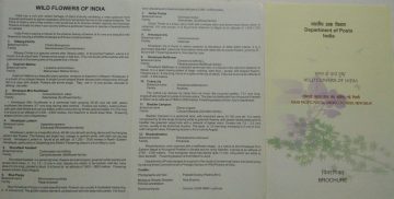 Wild Flowers of India Set of 12 (BR)