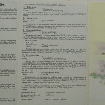 Wild Flowers of India (BR)