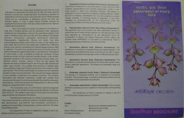 Orchids of India  (BR)