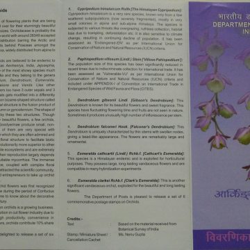 Orchids of India  (BR)