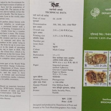 Endangered Species :Asiatic Lion (Panthera Leo Persica) (BR)